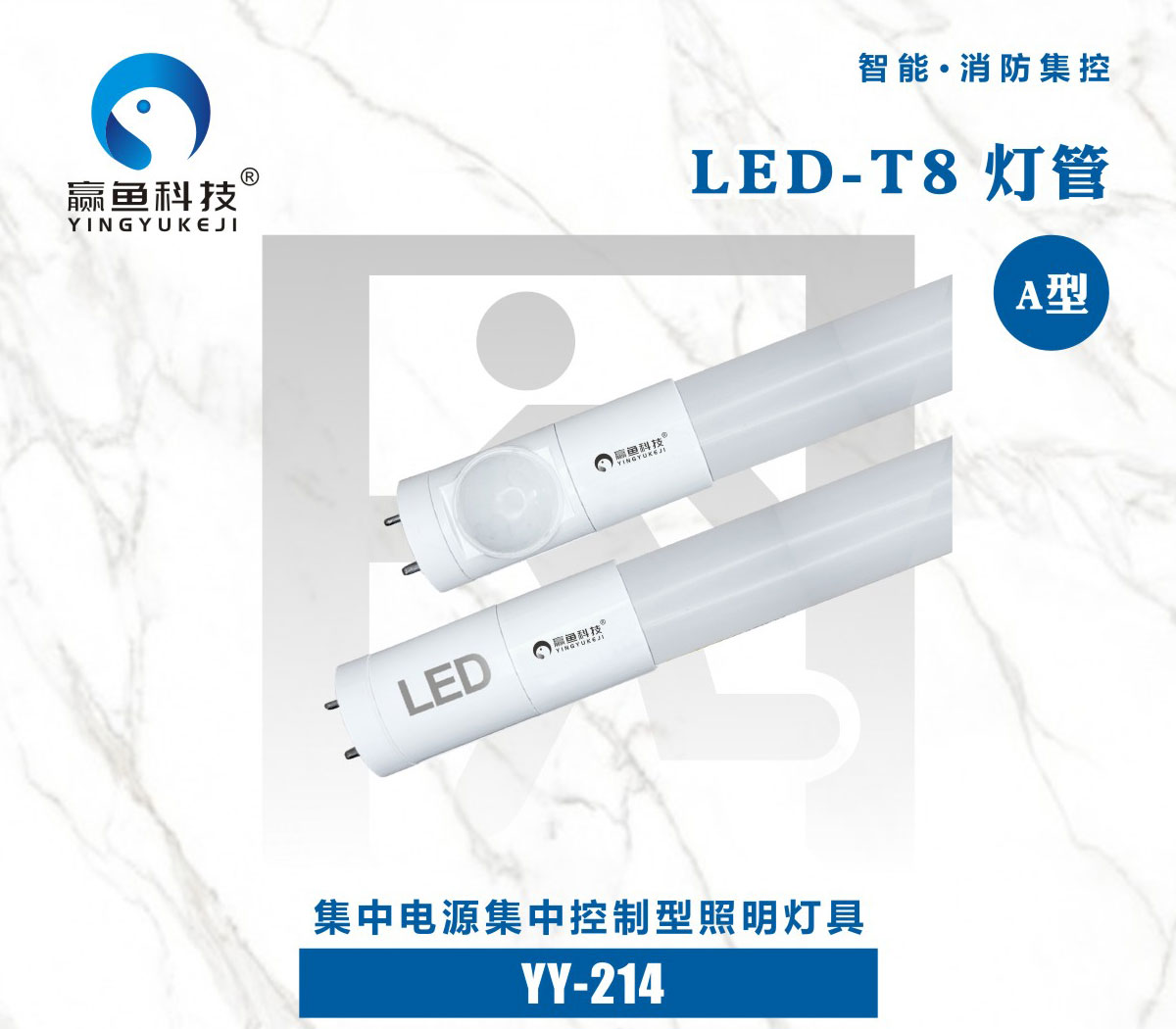 集中-LED-T8灯管